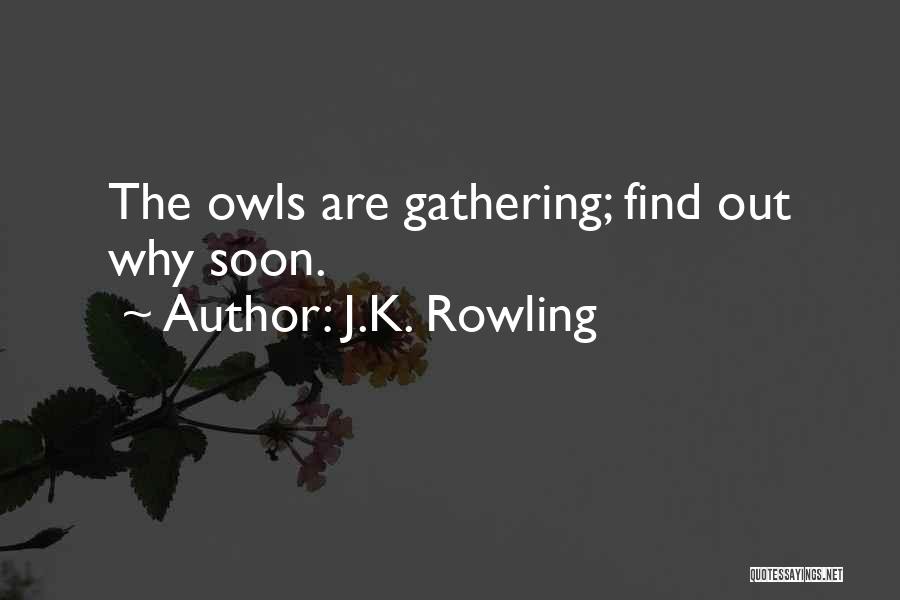 J.K. Rowling Quotes: The Owls Are Gathering; Find Out Why Soon.