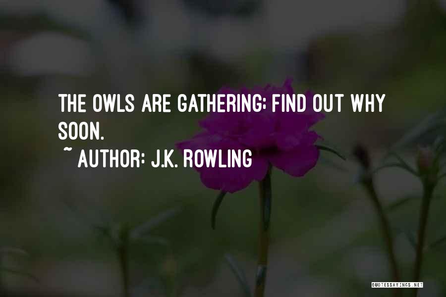 J.K. Rowling Quotes: The Owls Are Gathering; Find Out Why Soon.