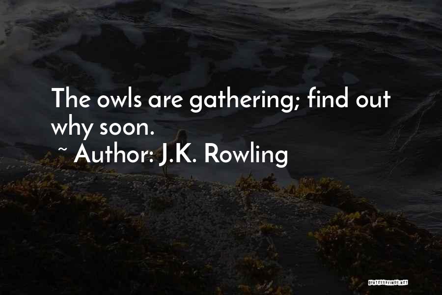 J.K. Rowling Quotes: The Owls Are Gathering; Find Out Why Soon.