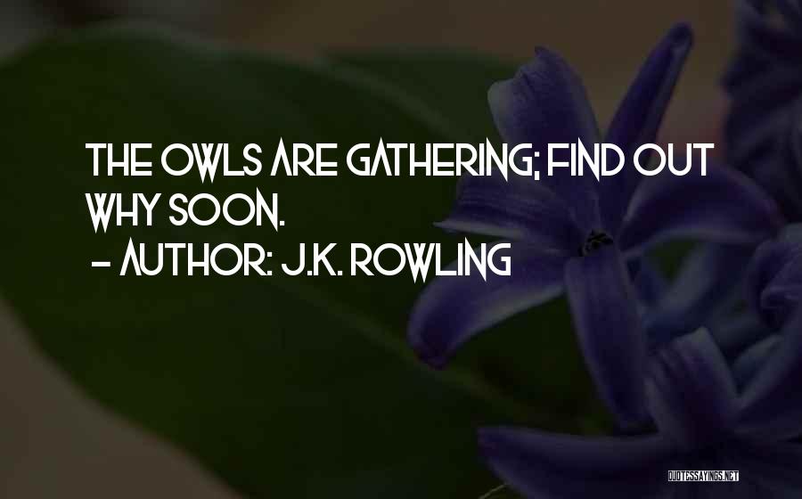 J.K. Rowling Quotes: The Owls Are Gathering; Find Out Why Soon.
