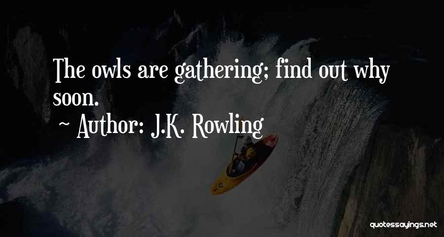 J.K. Rowling Quotes: The Owls Are Gathering; Find Out Why Soon.