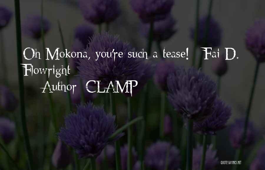 CLAMP Quotes: Oh Mokona, You're Such A Tease! ~fai D. Flowright