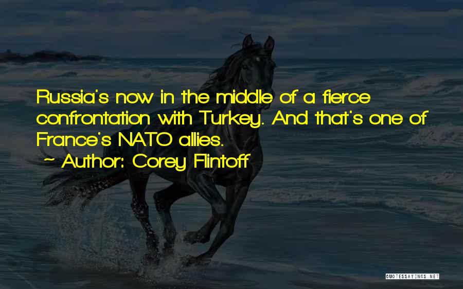 Corey Flintoff Quotes: Russia's Now In The Middle Of A Fierce Confrontation With Turkey. And That's One Of France's Nato Allies.