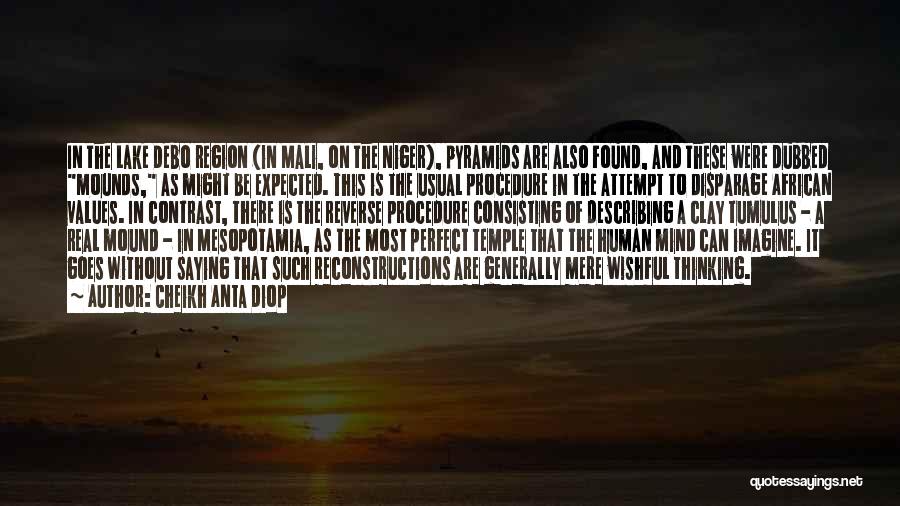 Cheikh Anta Diop Quotes: In The Lake Debo Region (in Mali, On The Niger), Pyramids Are Also Found, And These Were Dubbed Mounds, As