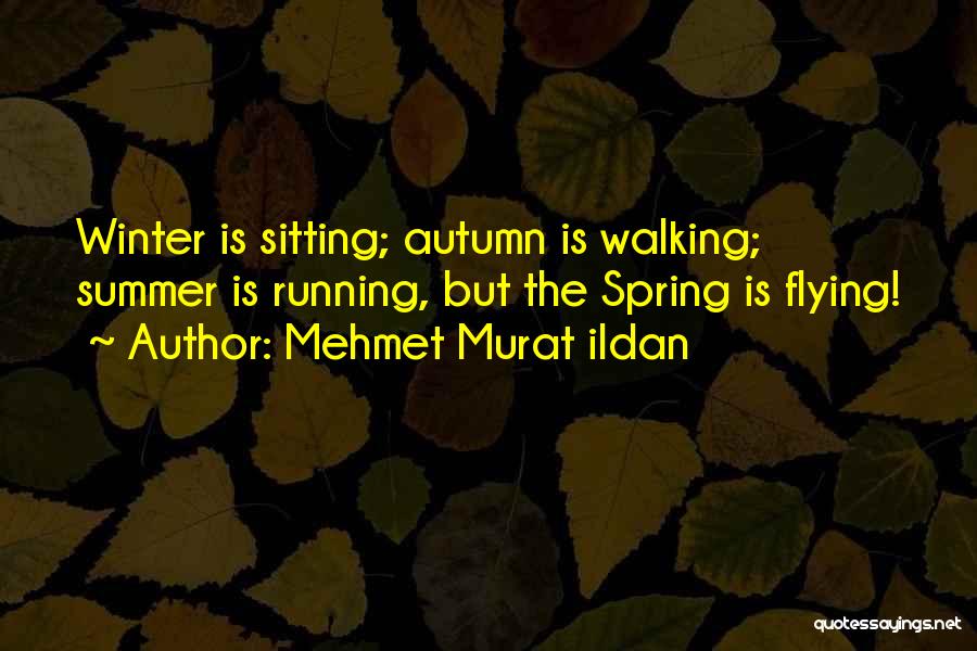 Mehmet Murat Ildan Quotes: Winter Is Sitting; Autumn Is Walking; Summer Is Running, But The Spring Is Flying!