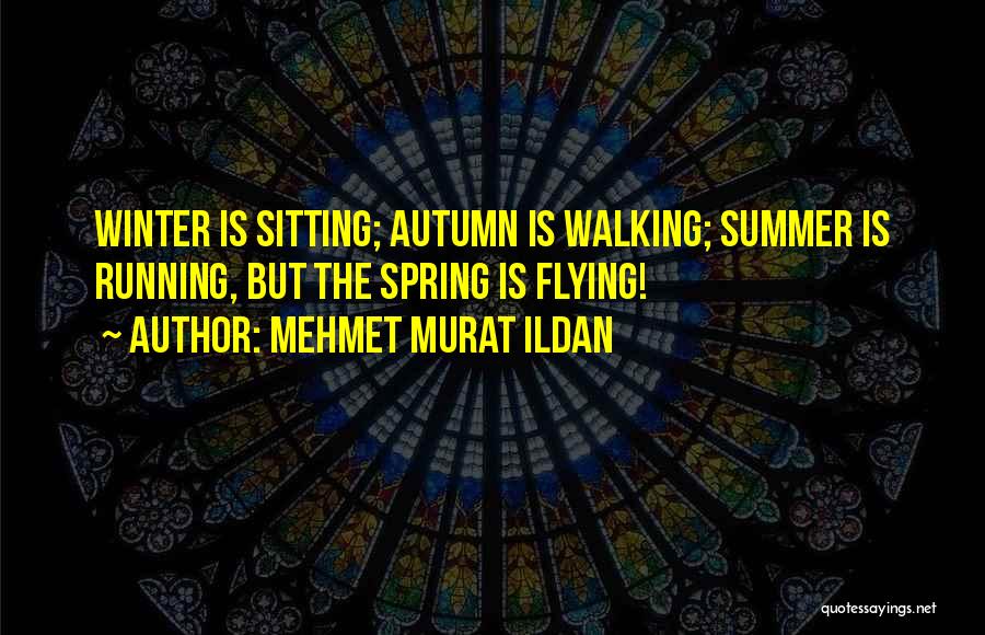 Mehmet Murat Ildan Quotes: Winter Is Sitting; Autumn Is Walking; Summer Is Running, But The Spring Is Flying!