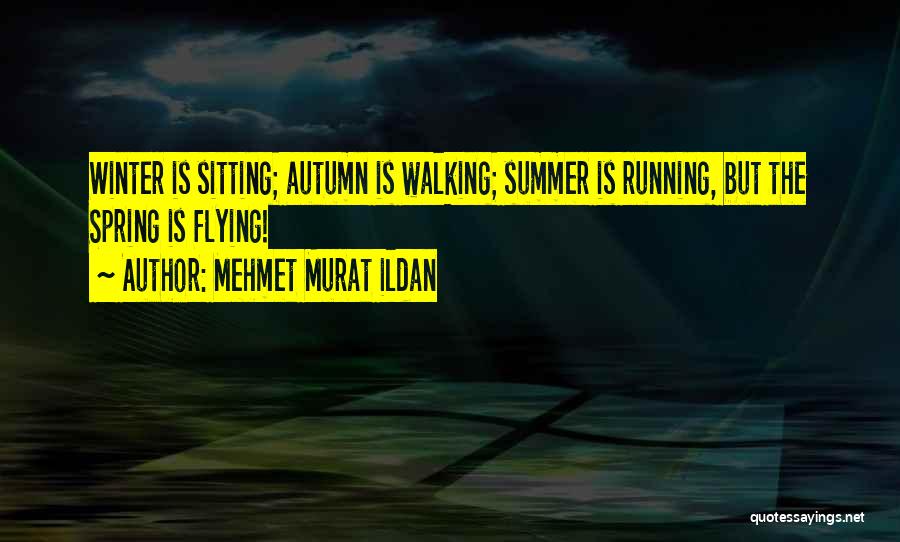 Mehmet Murat Ildan Quotes: Winter Is Sitting; Autumn Is Walking; Summer Is Running, But The Spring Is Flying!