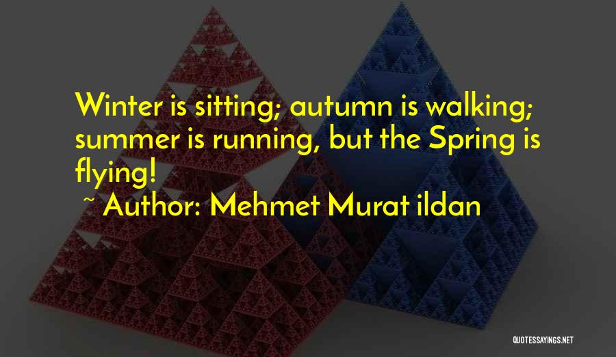 Mehmet Murat Ildan Quotes: Winter Is Sitting; Autumn Is Walking; Summer Is Running, But The Spring Is Flying!