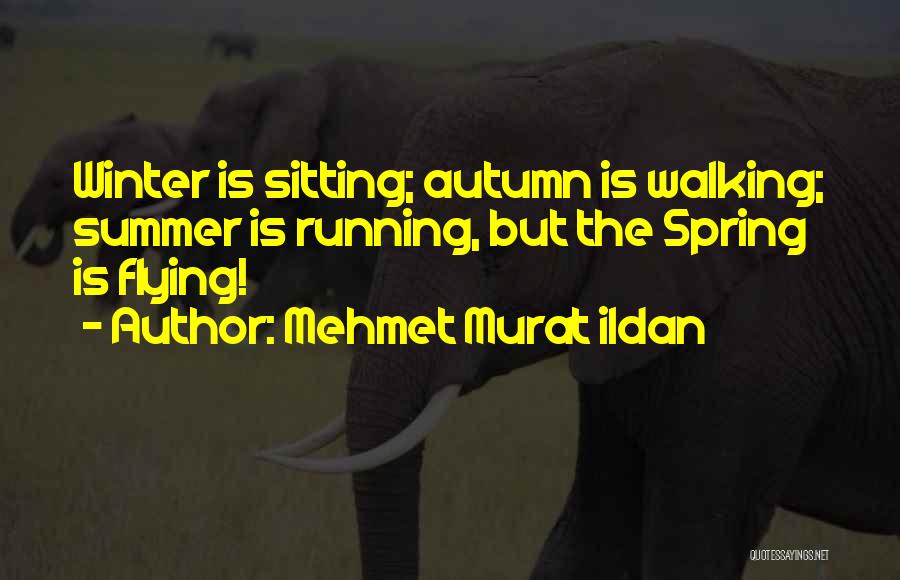 Mehmet Murat Ildan Quotes: Winter Is Sitting; Autumn Is Walking; Summer Is Running, But The Spring Is Flying!