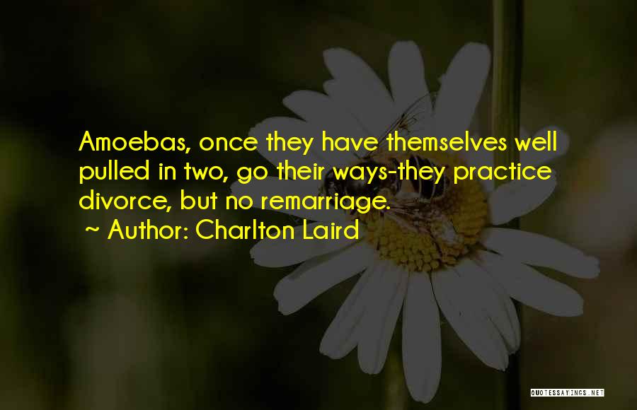Charlton Laird Quotes: Amoebas, Once They Have Themselves Well Pulled In Two, Go Their Ways-they Practice Divorce, But No Remarriage.