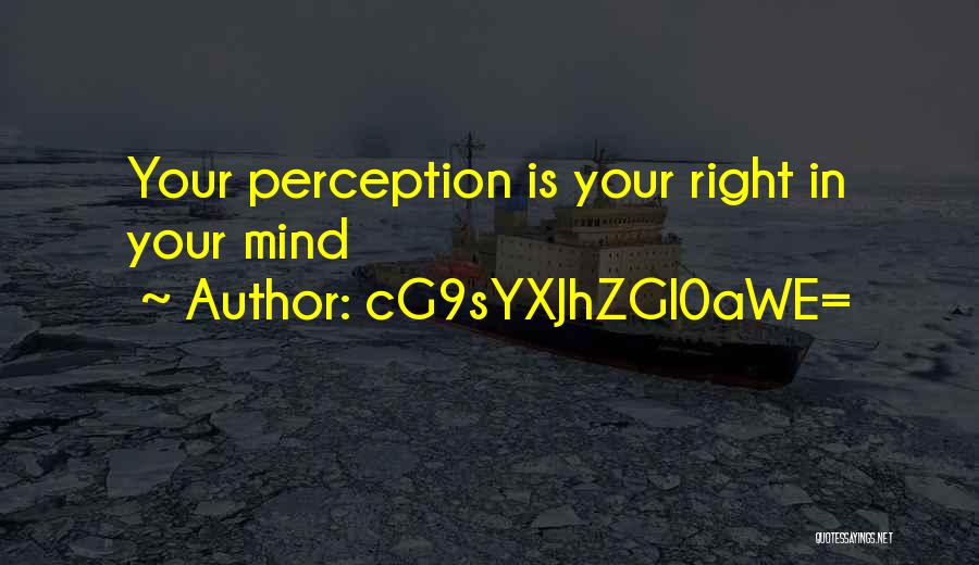 CG9sYXJhZGl0aWE= Quotes: Your Perception Is Your Right In Your Mind