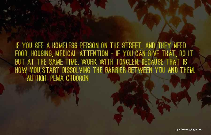 Pema Chodron Quotes: If You See A Homeless Person On The Street, And They Need Food, Housing, Medical Attention - If You Can