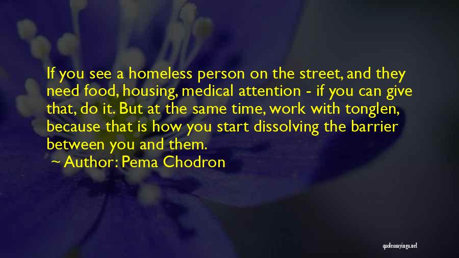 Pema Chodron Quotes: If You See A Homeless Person On The Street, And They Need Food, Housing, Medical Attention - If You Can
