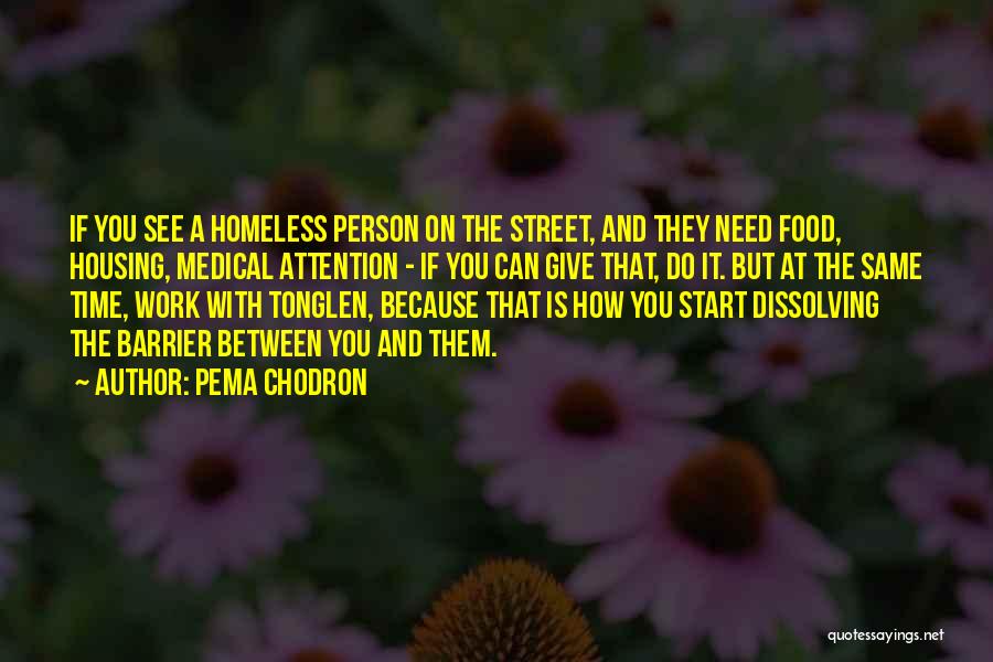 Pema Chodron Quotes: If You See A Homeless Person On The Street, And They Need Food, Housing, Medical Attention - If You Can