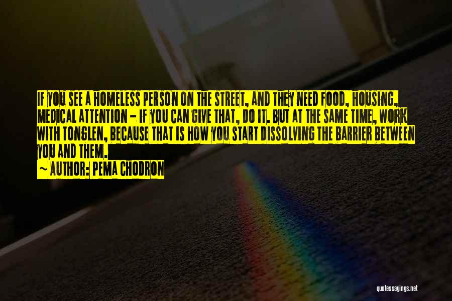 Pema Chodron Quotes: If You See A Homeless Person On The Street, And They Need Food, Housing, Medical Attention - If You Can