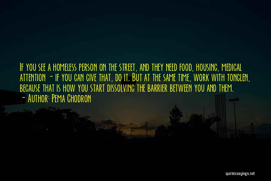 Pema Chodron Quotes: If You See A Homeless Person On The Street, And They Need Food, Housing, Medical Attention - If You Can