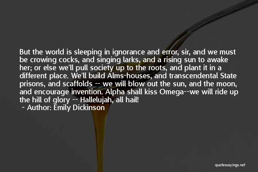 Emily Dickinson Quotes: But The World Is Sleeping In Ignorance And Error, Sir, And We Must Be Crowing Cocks, And Singing Larks, And