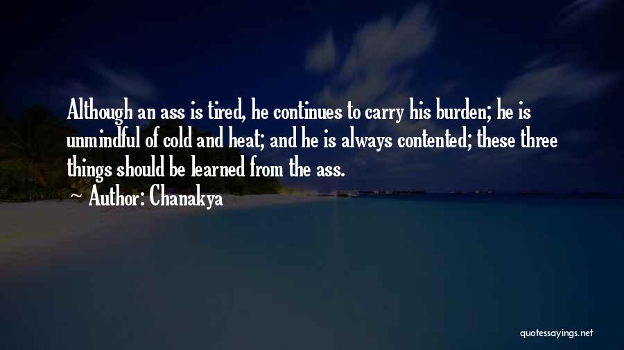 Chanakya Quotes: Although An Ass Is Tired, He Continues To Carry His Burden; He Is Unmindful Of Cold And Heat; And He