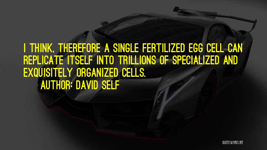 David Self Quotes: I Think, Therefore A Single Fertilized Egg Cell Can Replicate Itself Into Trillions Of Specialized And Exquisitely Organized Cells.