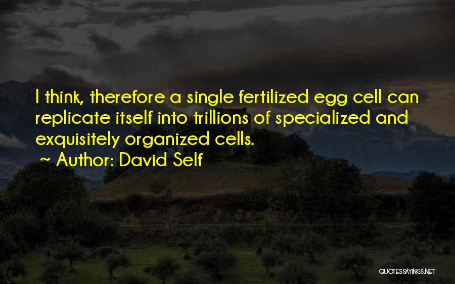 David Self Quotes: I Think, Therefore A Single Fertilized Egg Cell Can Replicate Itself Into Trillions Of Specialized And Exquisitely Organized Cells.
