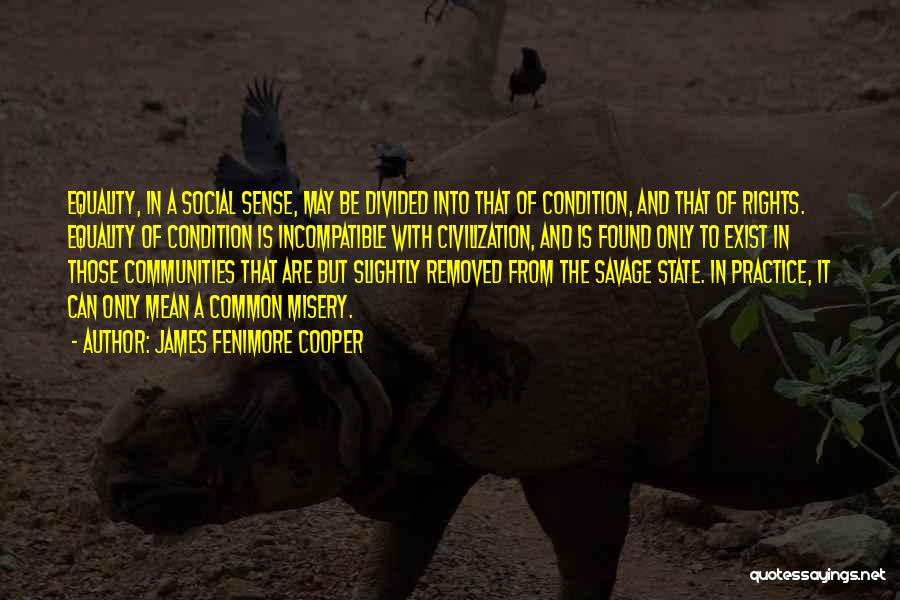 James Fenimore Cooper Quotes: Equality, In A Social Sense, May Be Divided Into That Of Condition, And That Of Rights. Equality Of Condition Is