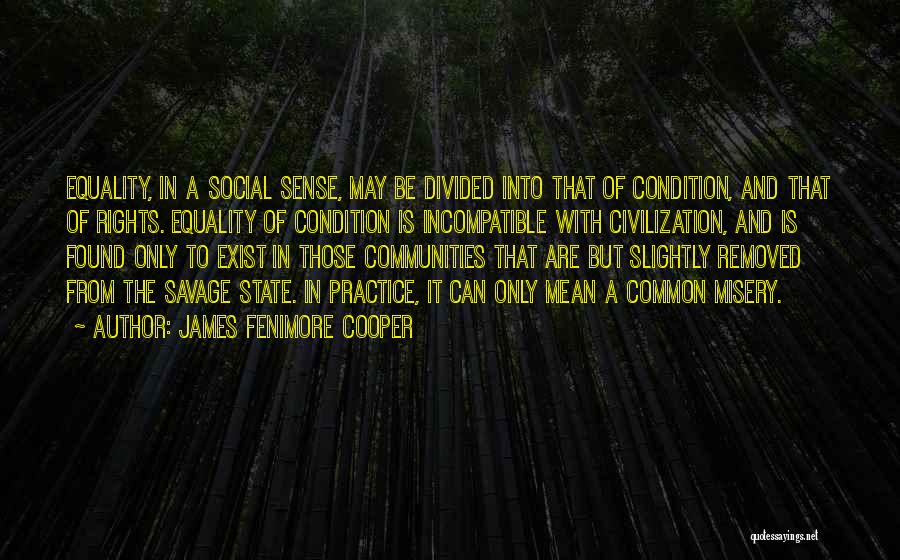 James Fenimore Cooper Quotes: Equality, In A Social Sense, May Be Divided Into That Of Condition, And That Of Rights. Equality Of Condition Is