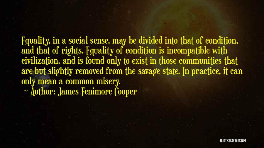 James Fenimore Cooper Quotes: Equality, In A Social Sense, May Be Divided Into That Of Condition, And That Of Rights. Equality Of Condition Is