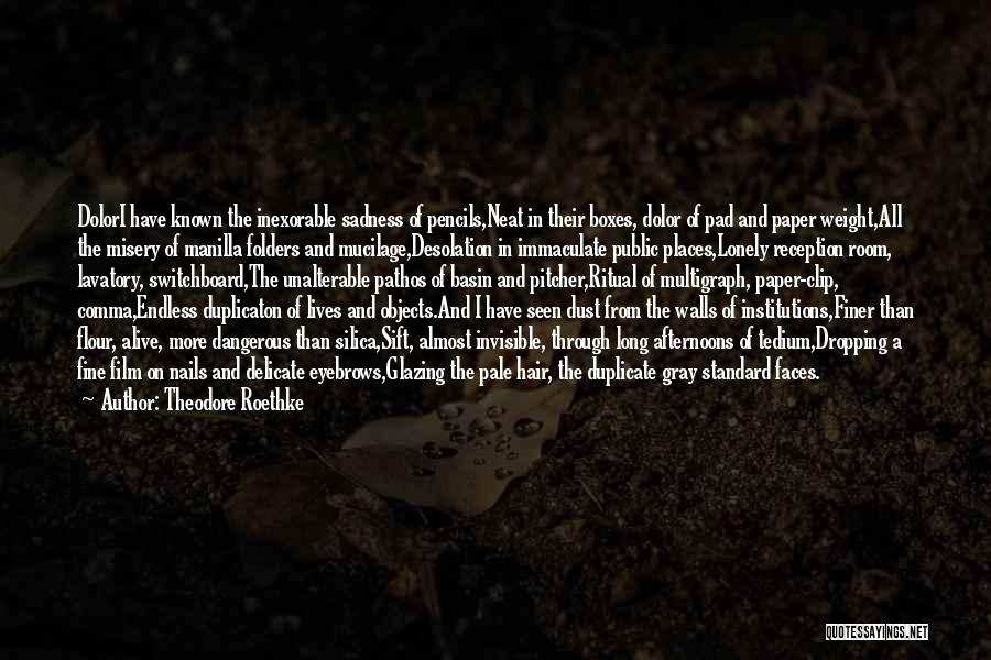 Theodore Roethke Quotes: Dolori Have Known The Inexorable Sadness Of Pencils,neat In Their Boxes, Dolor Of Pad And Paper Weight,all The Misery Of