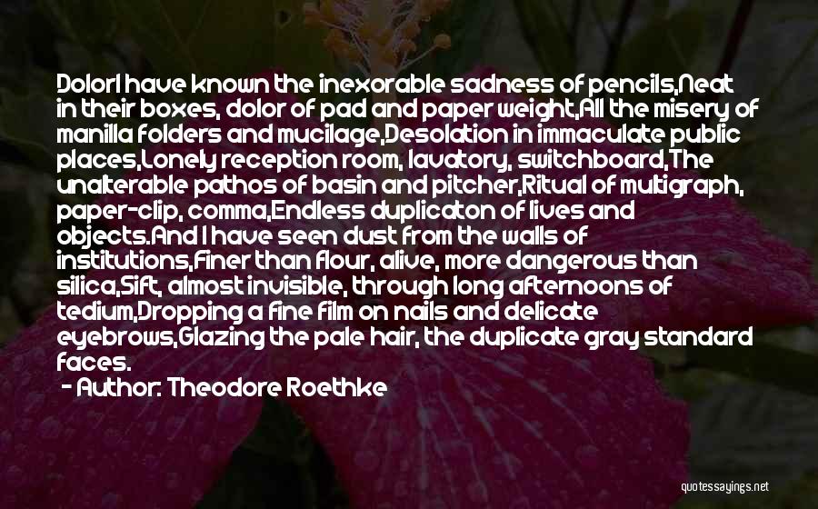 Theodore Roethke Quotes: Dolori Have Known The Inexorable Sadness Of Pencils,neat In Their Boxes, Dolor Of Pad And Paper Weight,all The Misery Of