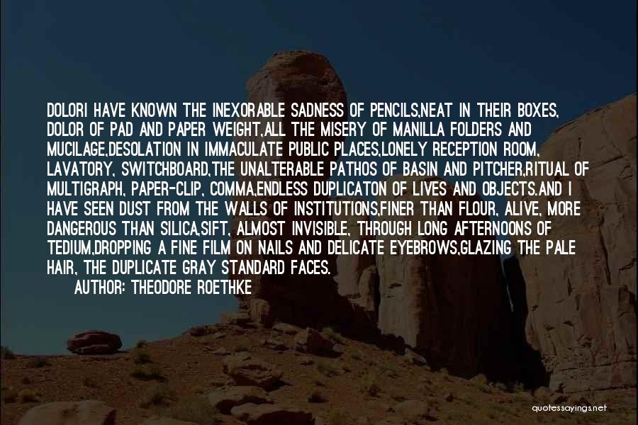 Theodore Roethke Quotes: Dolori Have Known The Inexorable Sadness Of Pencils,neat In Their Boxes, Dolor Of Pad And Paper Weight,all The Misery Of