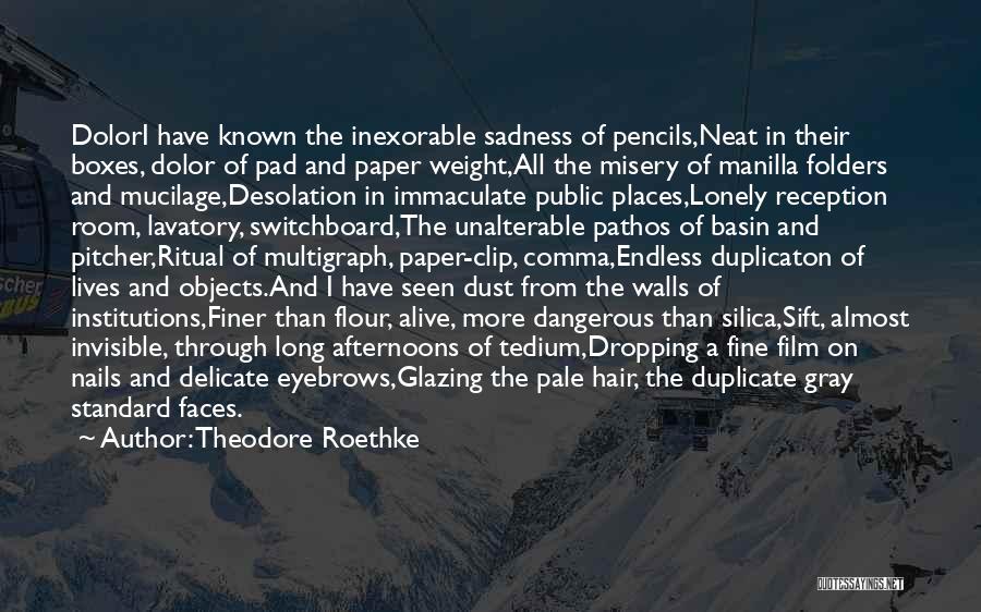 Theodore Roethke Quotes: Dolori Have Known The Inexorable Sadness Of Pencils,neat In Their Boxes, Dolor Of Pad And Paper Weight,all The Misery Of