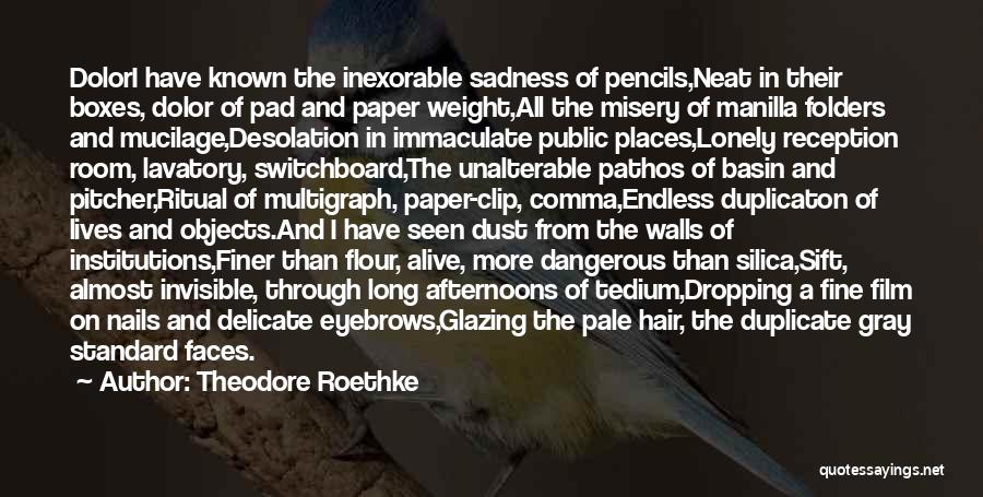 Theodore Roethke Quotes: Dolori Have Known The Inexorable Sadness Of Pencils,neat In Their Boxes, Dolor Of Pad And Paper Weight,all The Misery Of