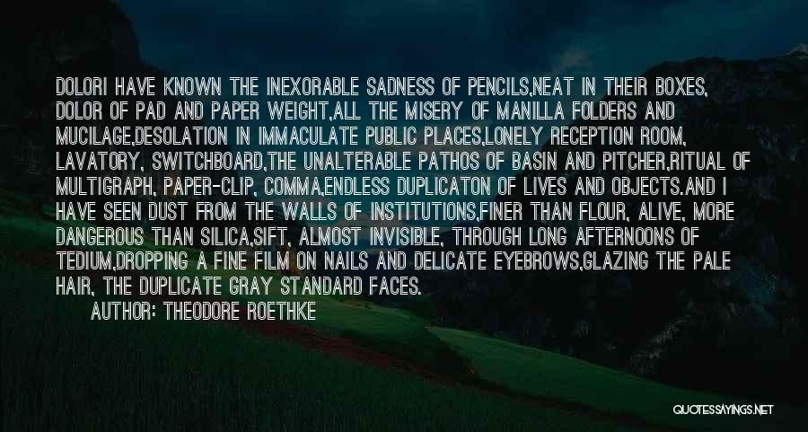 Theodore Roethke Quotes: Dolori Have Known The Inexorable Sadness Of Pencils,neat In Their Boxes, Dolor Of Pad And Paper Weight,all The Misery Of