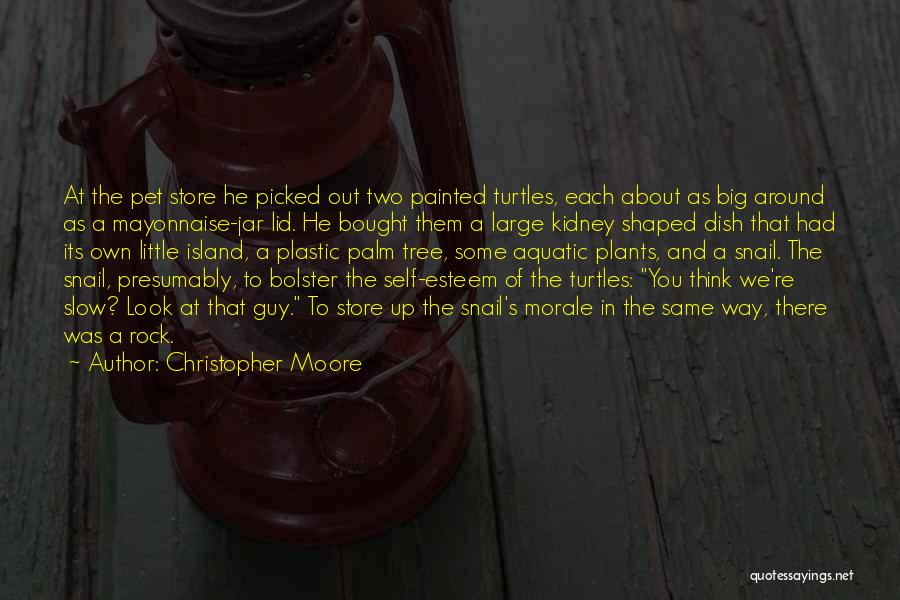 Christopher Moore Quotes: At The Pet Store He Picked Out Two Painted Turtles, Each About As Big Around As A Mayonnaise-jar Lid. He