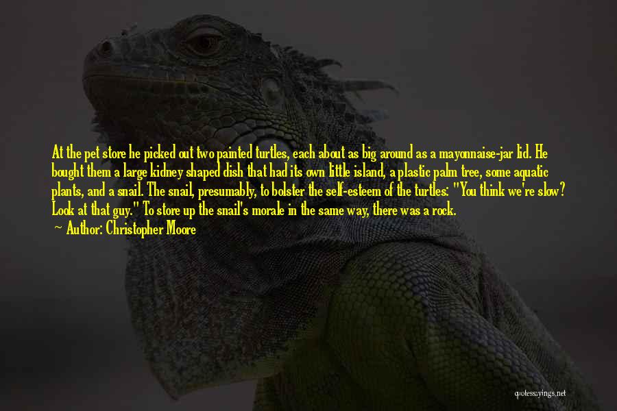 Christopher Moore Quotes: At The Pet Store He Picked Out Two Painted Turtles, Each About As Big Around As A Mayonnaise-jar Lid. He