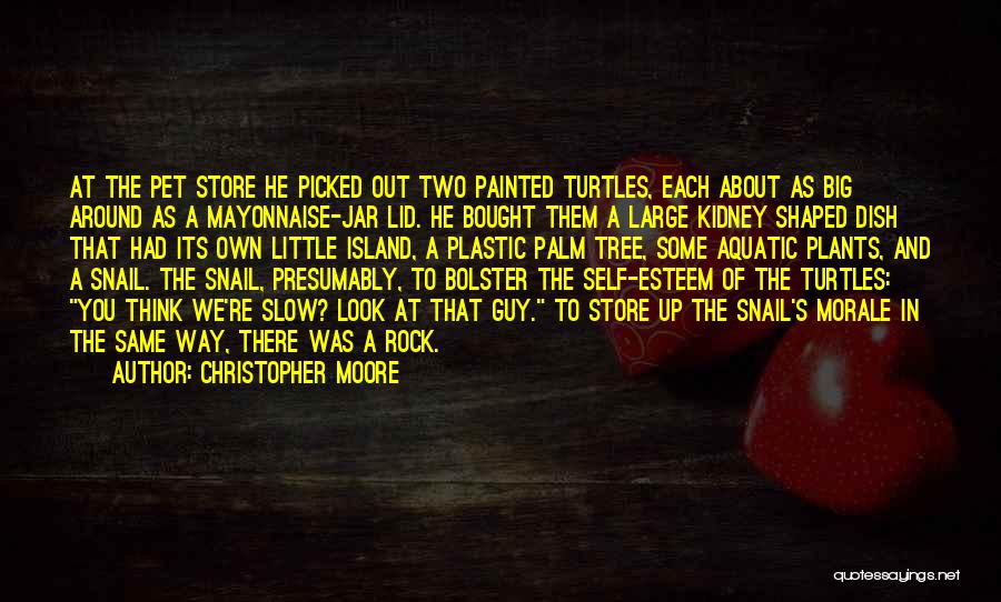 Christopher Moore Quotes: At The Pet Store He Picked Out Two Painted Turtles, Each About As Big Around As A Mayonnaise-jar Lid. He