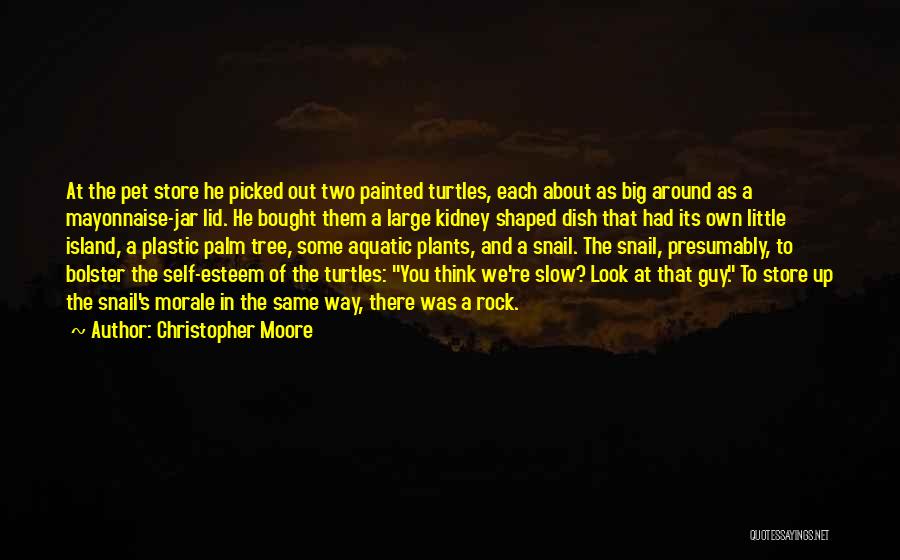 Christopher Moore Quotes: At The Pet Store He Picked Out Two Painted Turtles, Each About As Big Around As A Mayonnaise-jar Lid. He