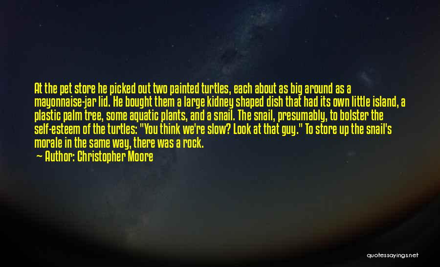 Christopher Moore Quotes: At The Pet Store He Picked Out Two Painted Turtles, Each About As Big Around As A Mayonnaise-jar Lid. He