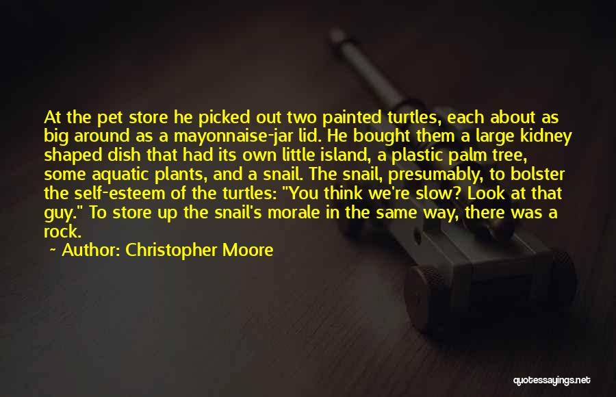 Christopher Moore Quotes: At The Pet Store He Picked Out Two Painted Turtles, Each About As Big Around As A Mayonnaise-jar Lid. He