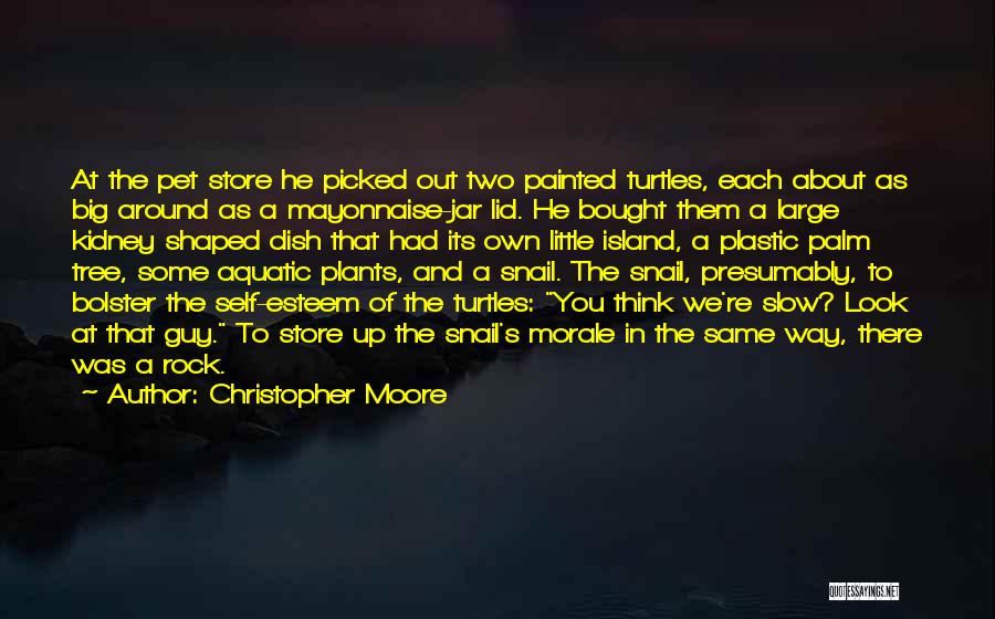 Christopher Moore Quotes: At The Pet Store He Picked Out Two Painted Turtles, Each About As Big Around As A Mayonnaise-jar Lid. He