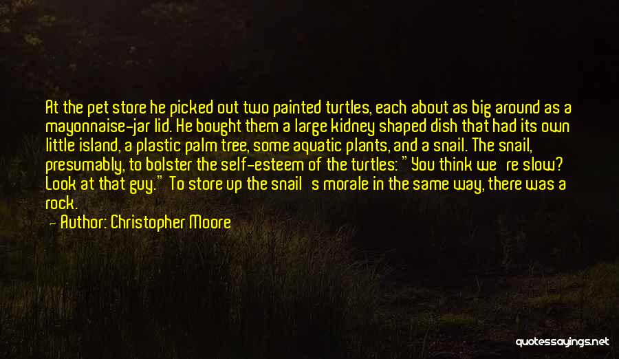 Christopher Moore Quotes: At The Pet Store He Picked Out Two Painted Turtles, Each About As Big Around As A Mayonnaise-jar Lid. He