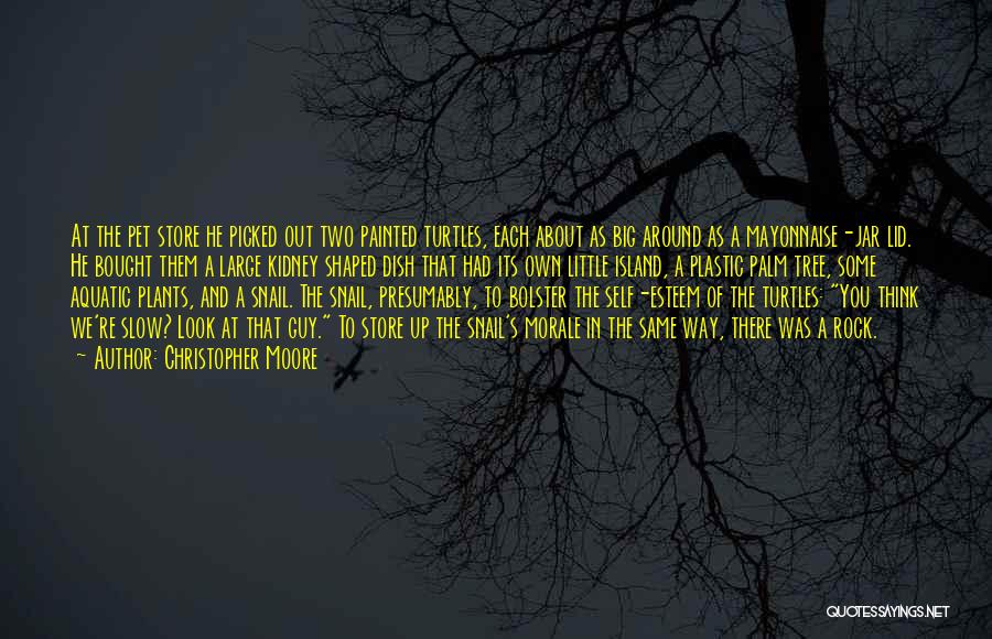 Christopher Moore Quotes: At The Pet Store He Picked Out Two Painted Turtles, Each About As Big Around As A Mayonnaise-jar Lid. He