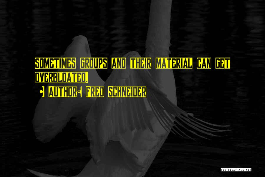 Fred Schneider Quotes: Sometimes Groups And Their Material Can Get Overbloated.