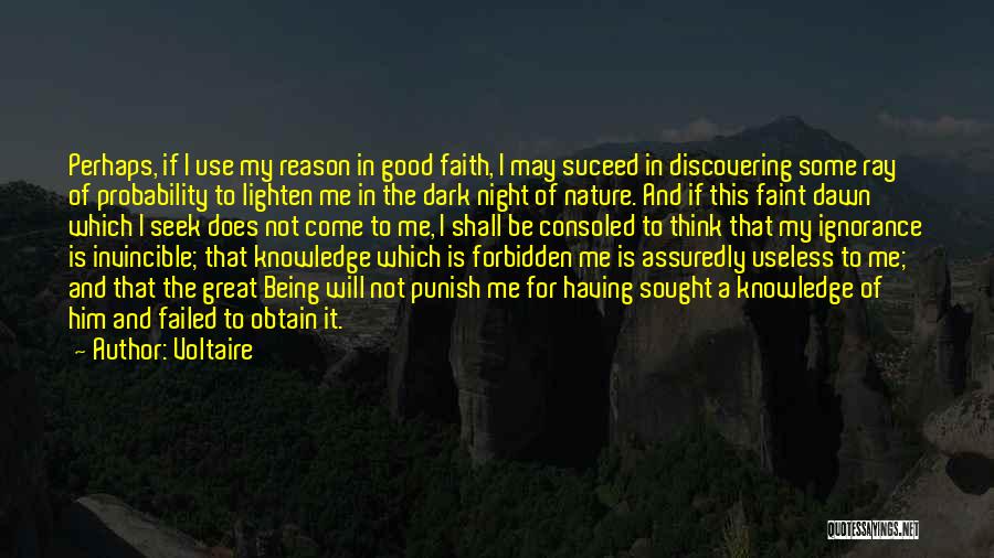 Voltaire Quotes: Perhaps, If I Use My Reason In Good Faith, I May Suceed In Discovering Some Ray Of Probability To Lighten