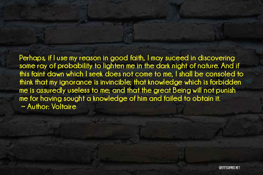 Voltaire Quotes: Perhaps, If I Use My Reason In Good Faith, I May Suceed In Discovering Some Ray Of Probability To Lighten