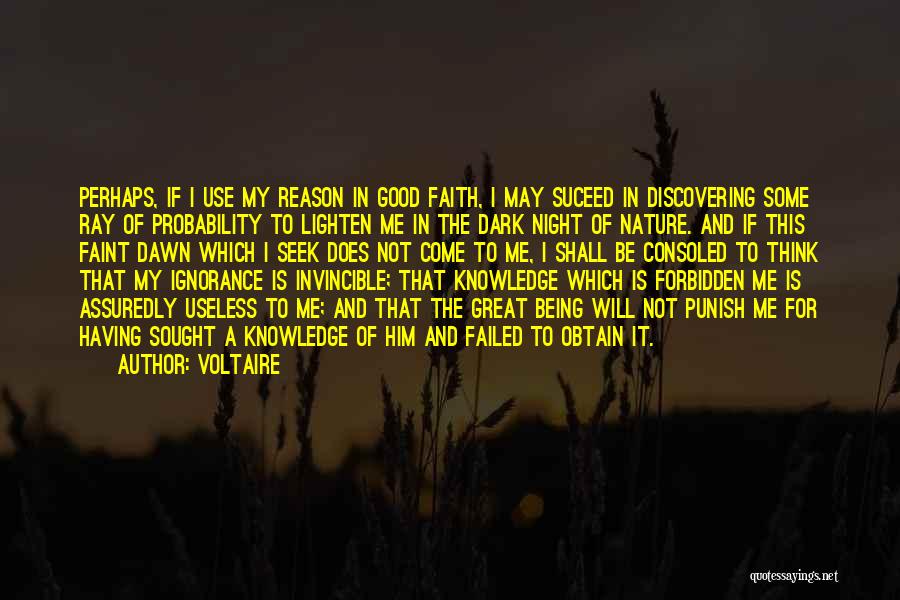 Voltaire Quotes: Perhaps, If I Use My Reason In Good Faith, I May Suceed In Discovering Some Ray Of Probability To Lighten