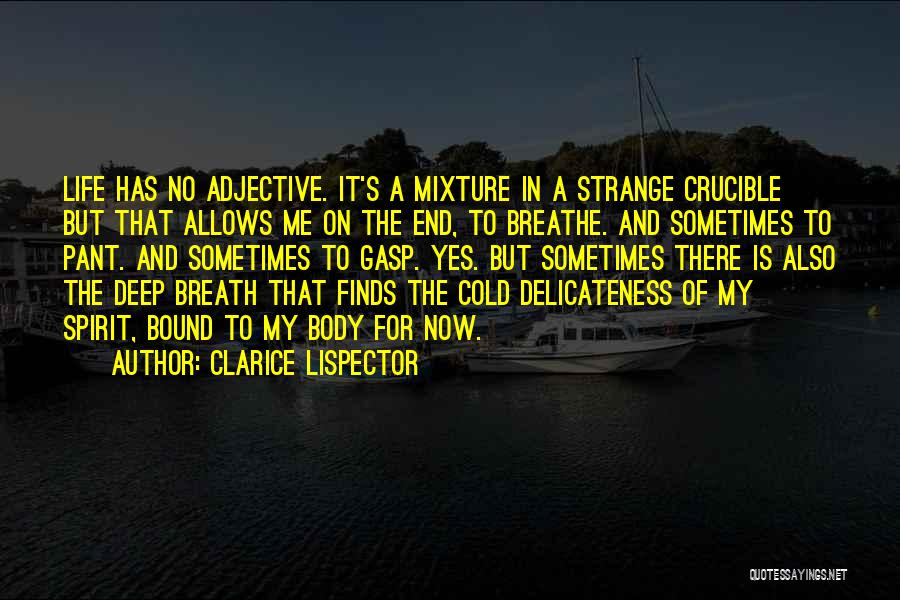 Clarice Lispector Quotes: Life Has No Adjective. It's A Mixture In A Strange Crucible But That Allows Me On The End, To Breathe.