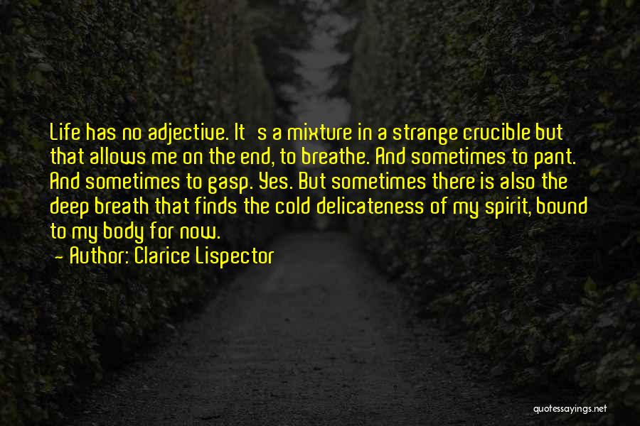 Clarice Lispector Quotes: Life Has No Adjective. It's A Mixture In A Strange Crucible But That Allows Me On The End, To Breathe.