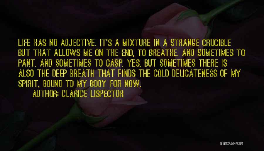 Clarice Lispector Quotes: Life Has No Adjective. It's A Mixture In A Strange Crucible But That Allows Me On The End, To Breathe.