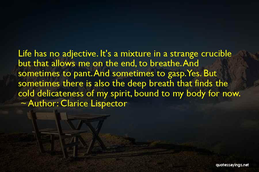 Clarice Lispector Quotes: Life Has No Adjective. It's A Mixture In A Strange Crucible But That Allows Me On The End, To Breathe.